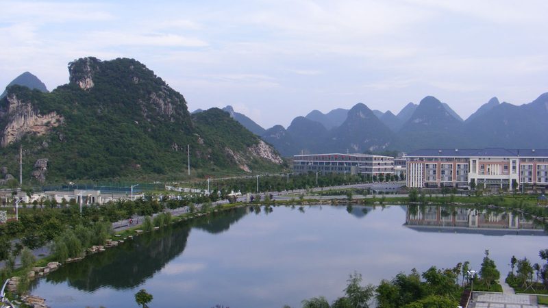 热继电器与过载继电器：批发报价背后的技术考量