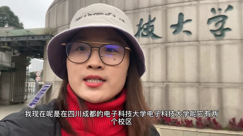 电阻与电容：揭秘电子电路中的关键元件
